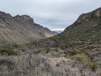 big bend.webp