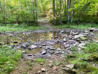 happy-hollow-trail-creek-crossing.jpg