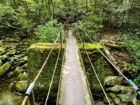 smoky-mountain-bridge.jpg